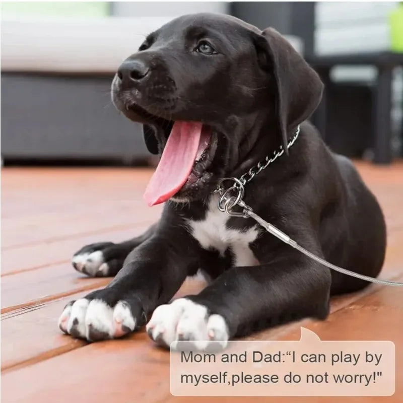 Correa de cable de acero inoxidable para perros de dos cabezas, resistente al óxido con hebilla de metal, cuerda de tracción duradera para entrenamiento al aire libre.