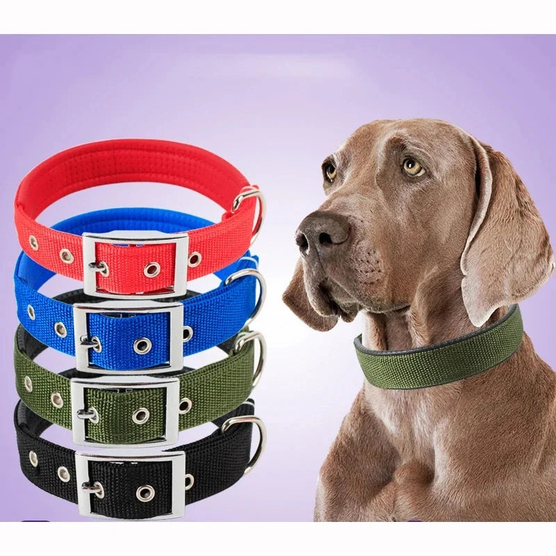 Collar de nailon sólido para perros, duradero y ajustable, para perros pequeños, medianos y grandes
