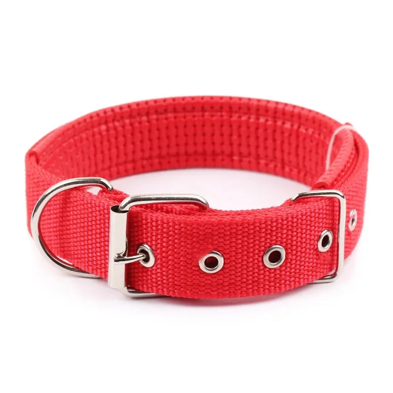 Collar de nailon para perros | Resistente y ajustable para tallas S, M y L