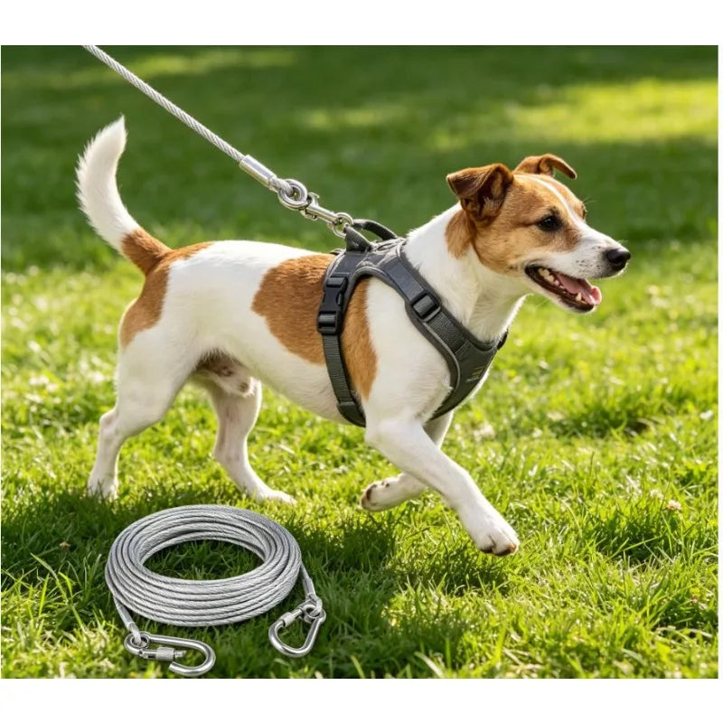 Correa de cable de acero inoxidable para perros de dos cabezas, resistente al óxido con hebilla de metal, cuerda de tracción duradera para entrenamiento al aire libre.