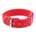 Collar de nailon sólido para perros, duradero y ajustable, para perros pequeños, medianos y grandes