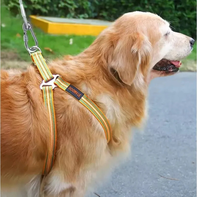 Correa de cable de acero inoxidable para perros de dos cabezas, resistente al óxido con hebilla de metal, cuerda de tracción duradera para entrenamiento al aire libre.