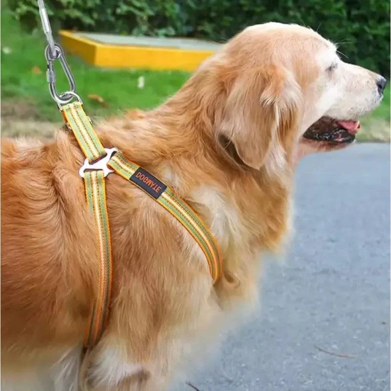 Correa de cable de acero inoxidable para perros de dos cabezas, resistente al óxido con hebilla de metal, cuerda de tracción duradera para entrenamiento al aire libre.
