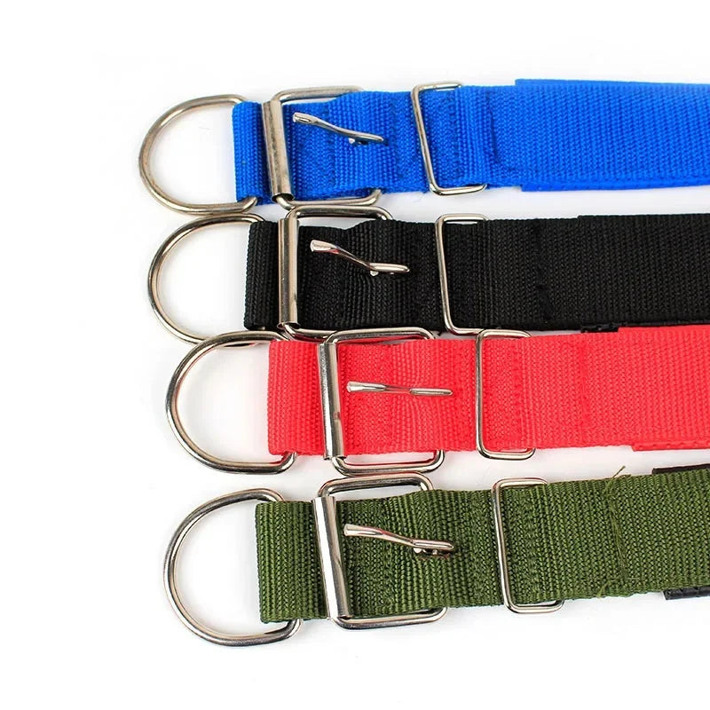 Collar de nailon para perros | Resistente y ajustable para tallas S, M y L